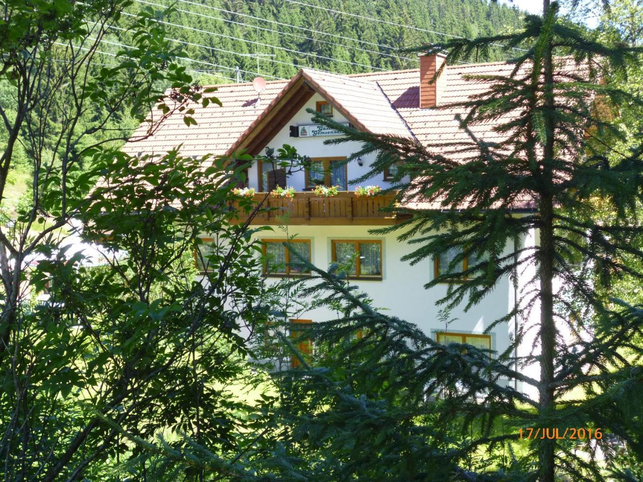 Hotel Landgasthaus Gemsennest Feldberg  Exterior foto